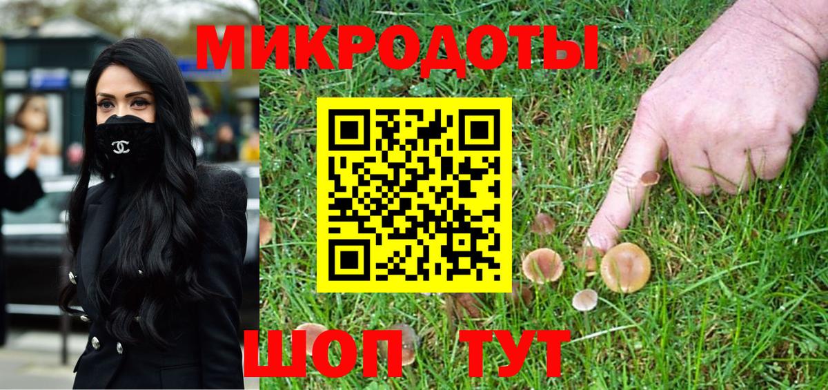 купить  цена  Галлюциногенные грибы GOLDEN TEACHER  Вход с VPN  Галлюциногенные грибы Psilocybe  Кохма 